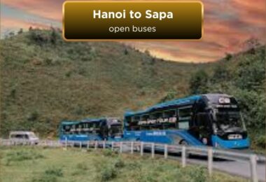open bus to sapa