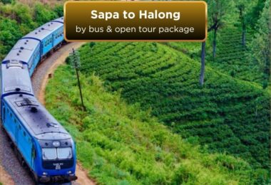 sapa to halong bay bus and open tour