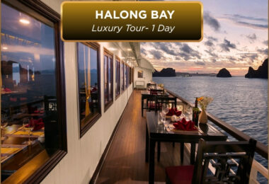 Halong Luxury Day Cruise to Sung Sot Cave: 1 Day